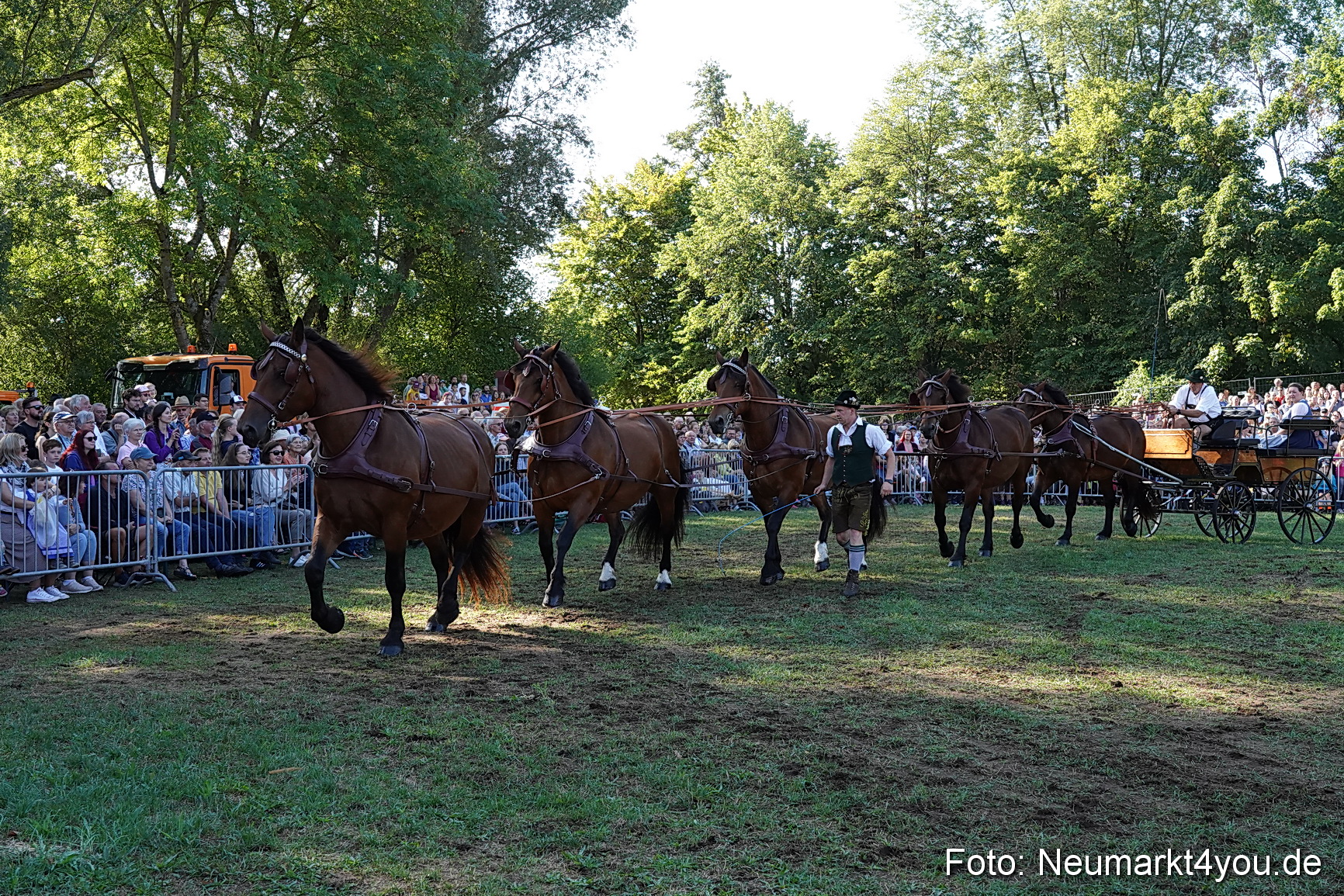 Pferde und Fohlenschau 2022 0070 